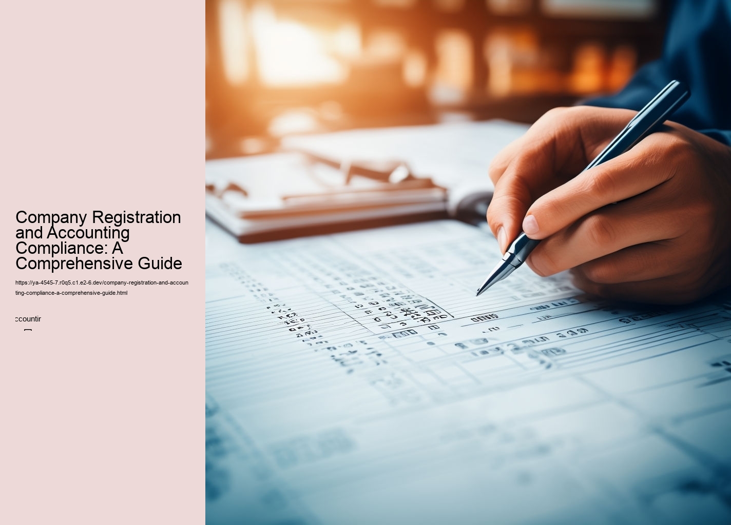 Company Registration and Accounting Compliance: A Comprehensive Guide