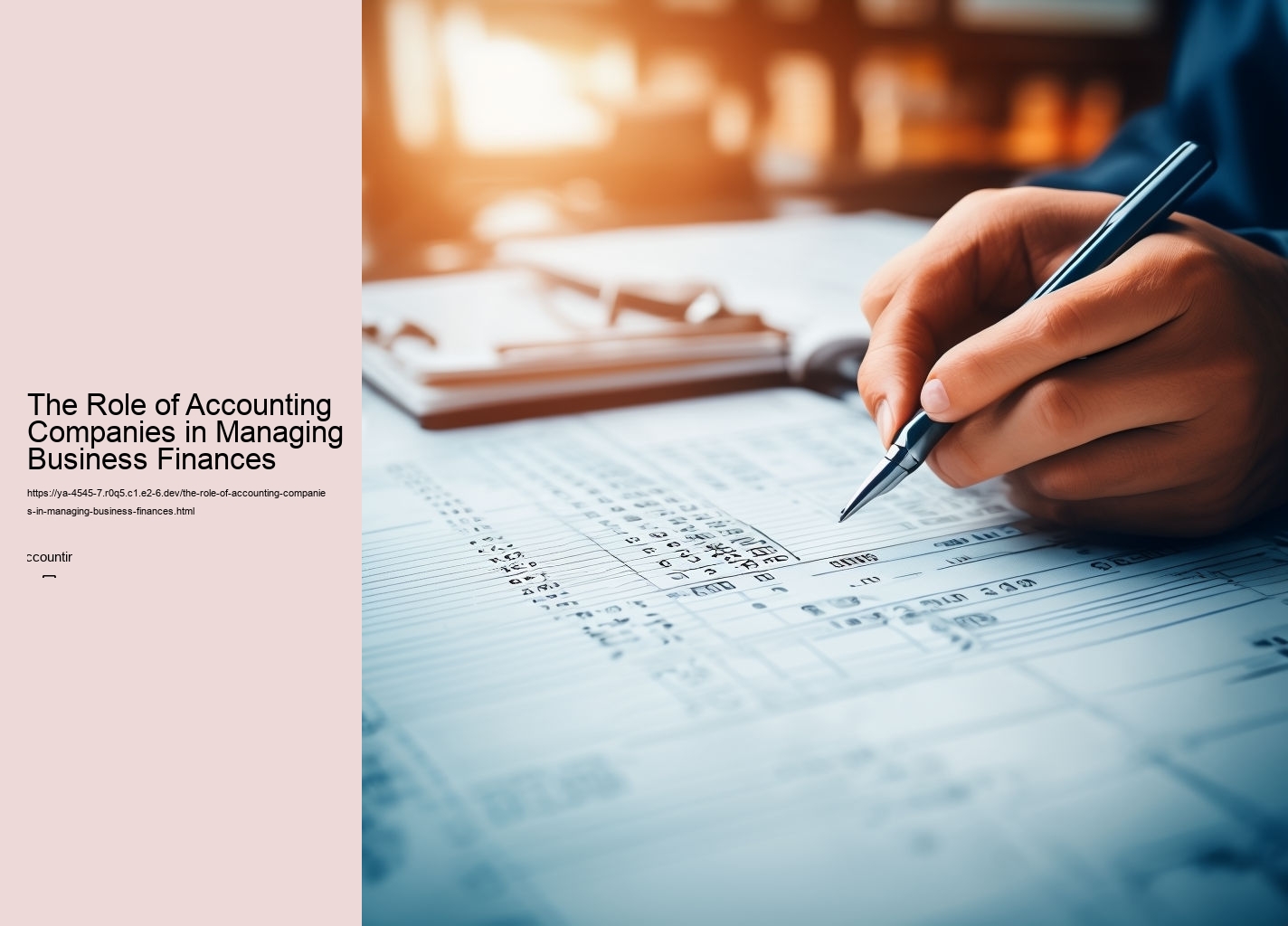 The Role of Accounting Companies in Managing Business Finances