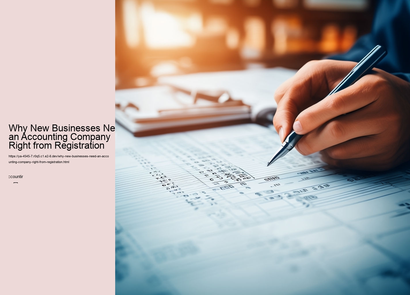 Why New Businesses Need an Accounting Company Right from Registration